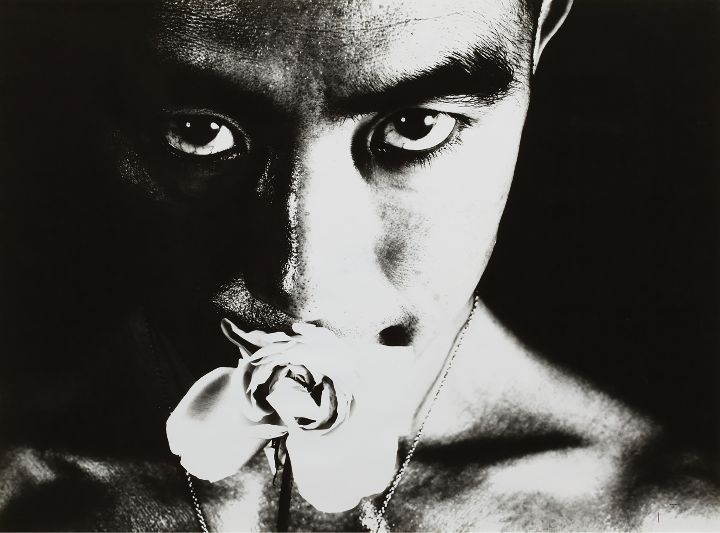 創世記 : 若き日の芸術家たち : EIKOH HOSOE PORTRAITS… 創世記 若き日の芸術家たち 細江英公人間写真集 - 細江 英公 / Eikoh Hosoe